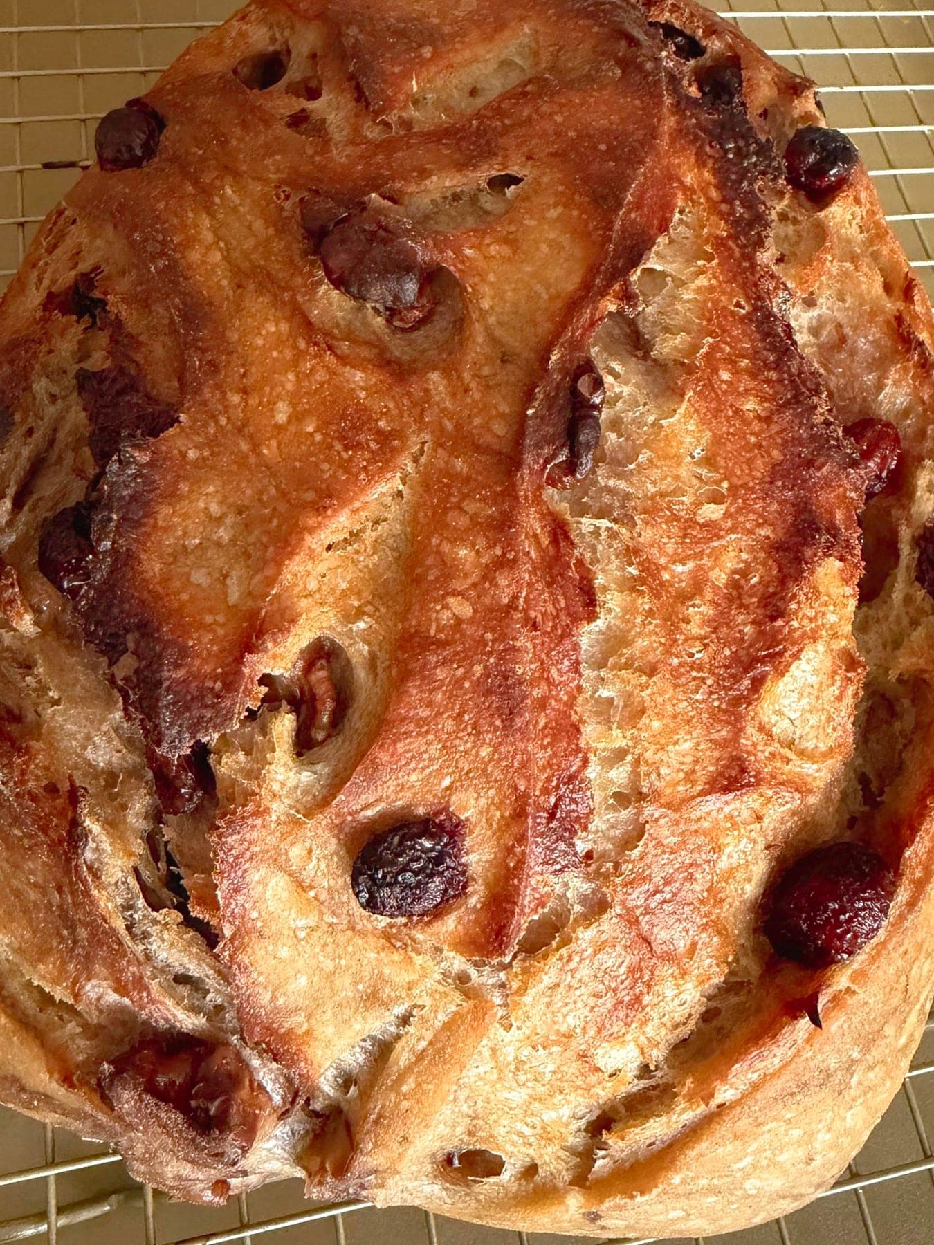 Cranberry & Walnut Sourdough