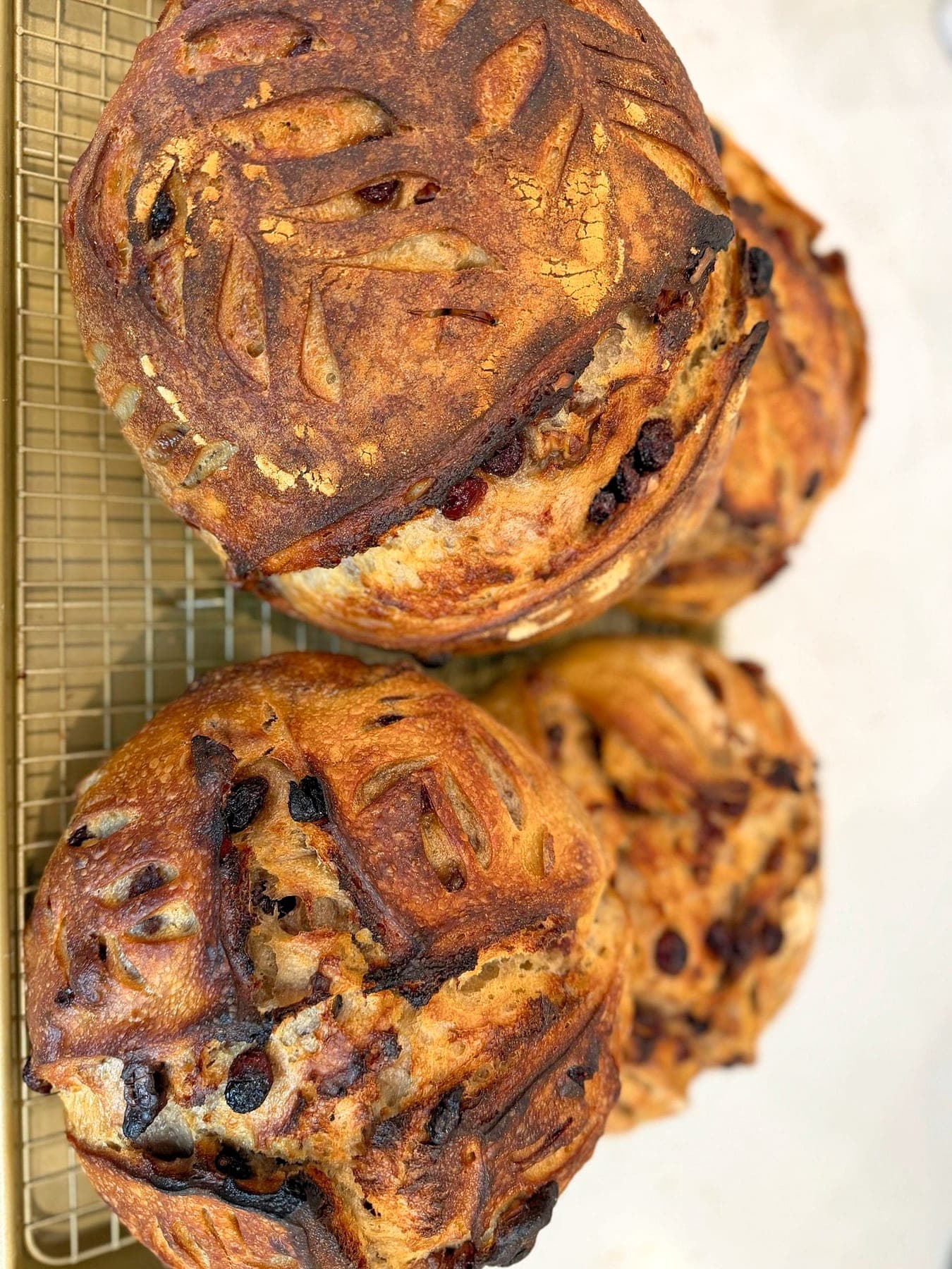 Cranberry & Walnut Sourdough