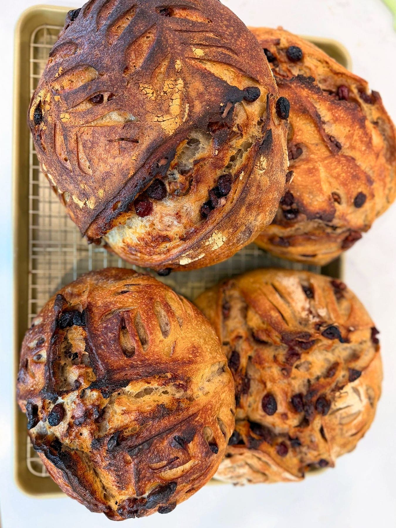 Cranberry & Walnut Sourdough