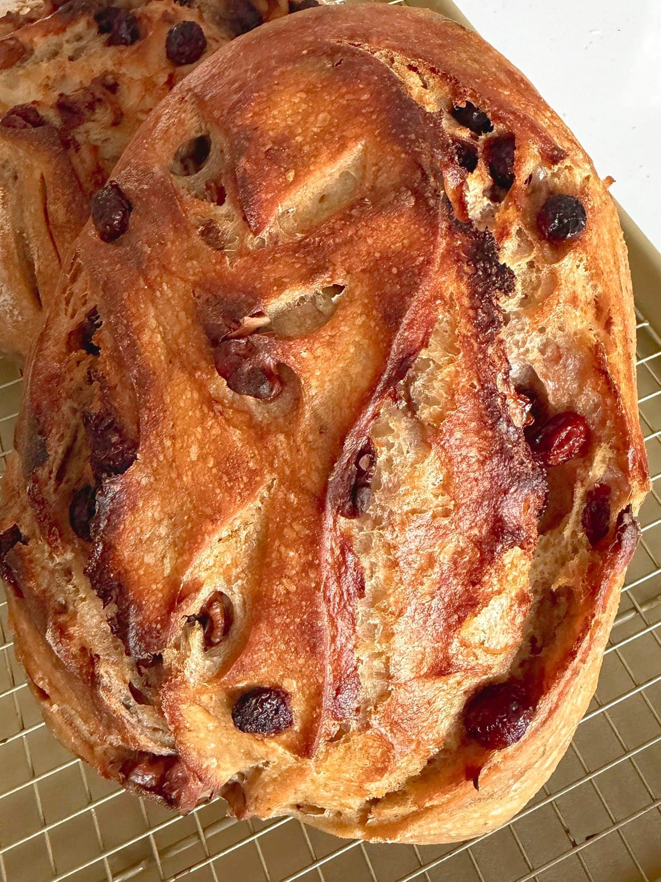 Cranberry & Walnut Sourdough