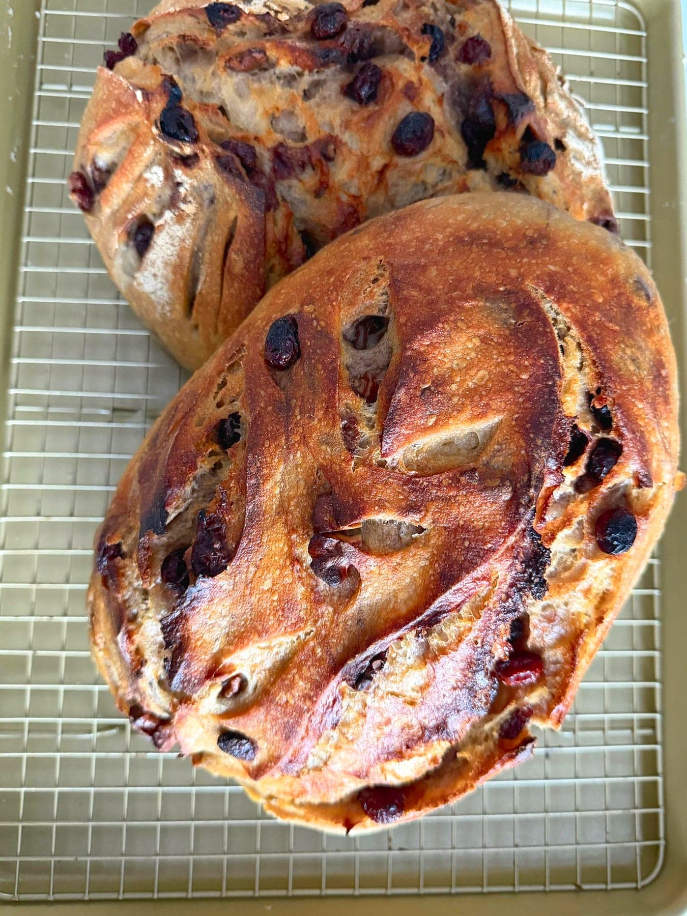 Cranberry & Walnut Sourdough