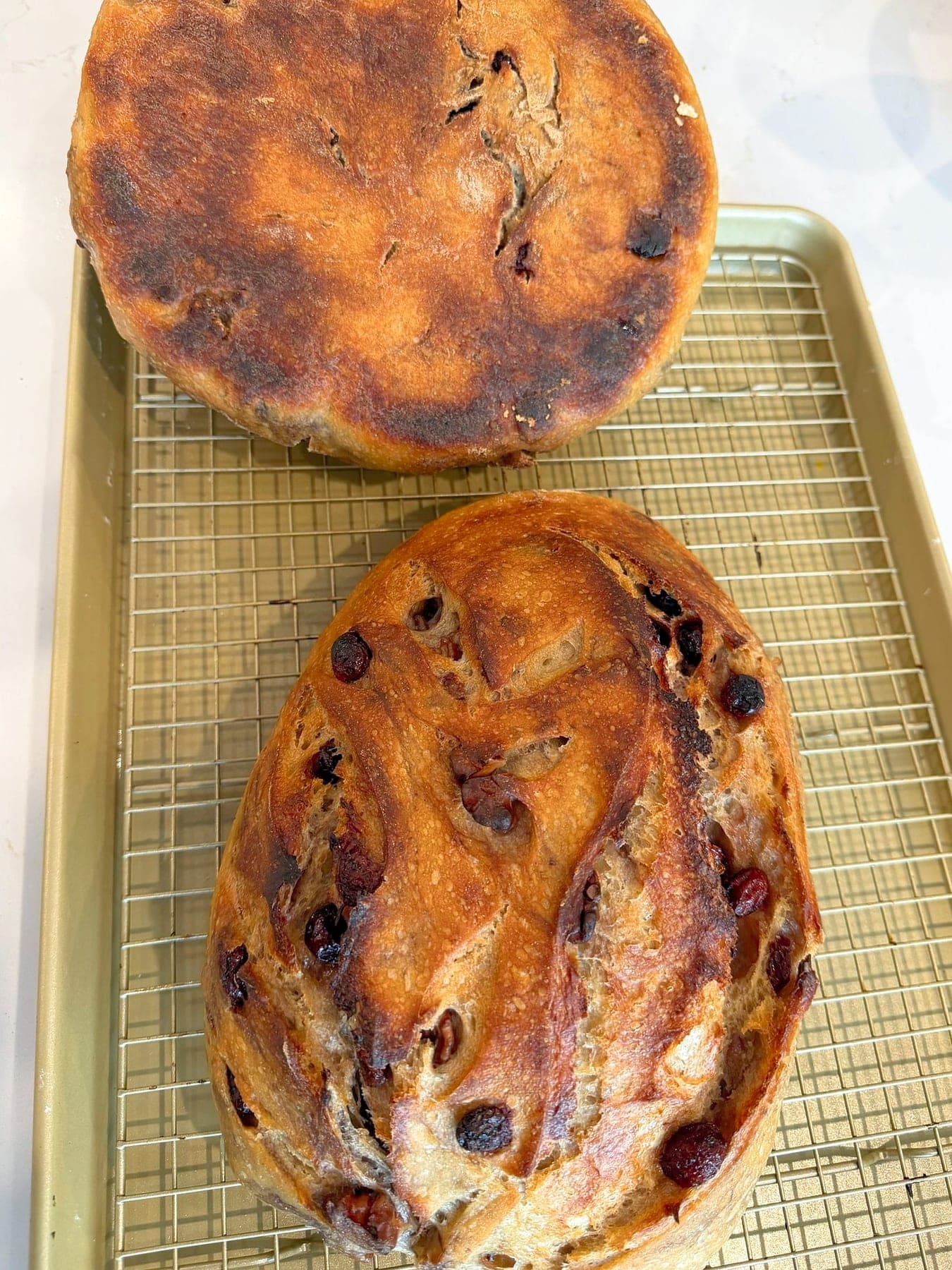 Cranberry & Walnut Sourdough