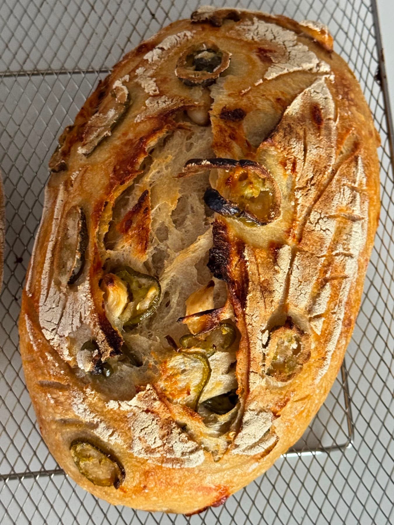Spicy Cheddar, Jalapeño & Roasted Garlic Sourdough