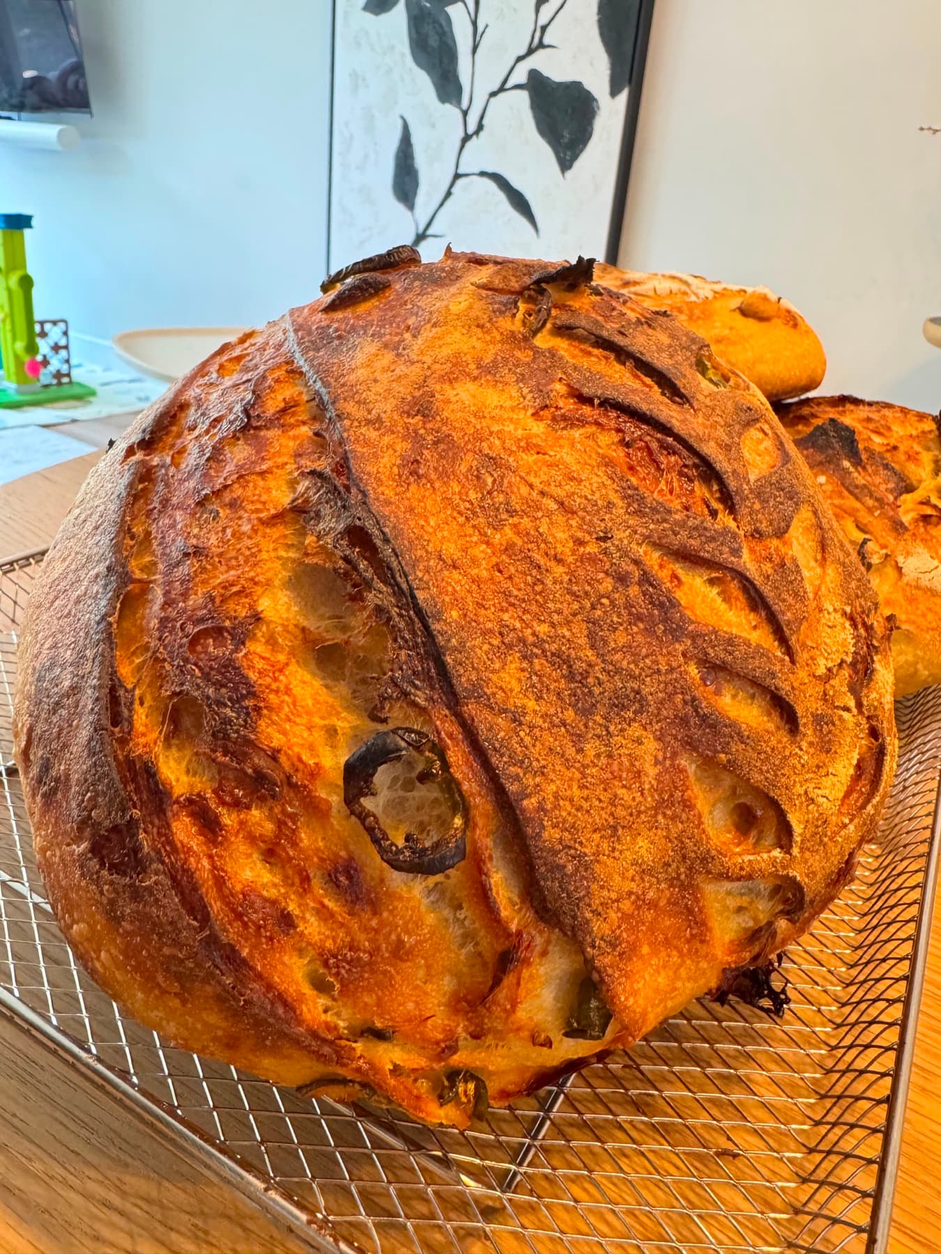 Spicy Cheddar, Jalapeño & Roasted Garlic Sourdough