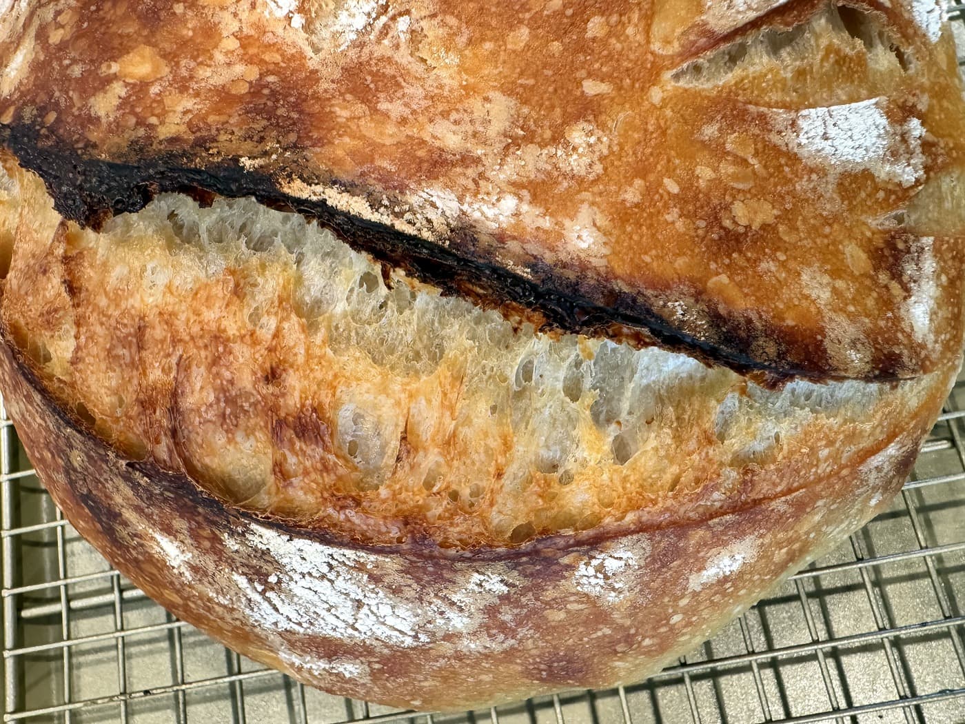 Country Sourdough