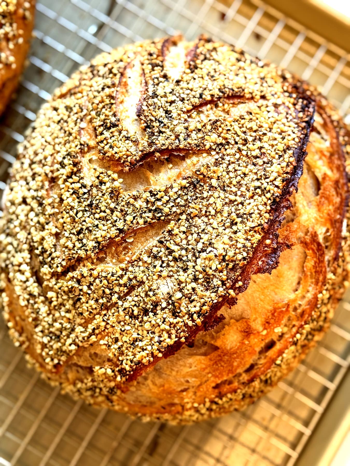 Everything bagel sourdough crust