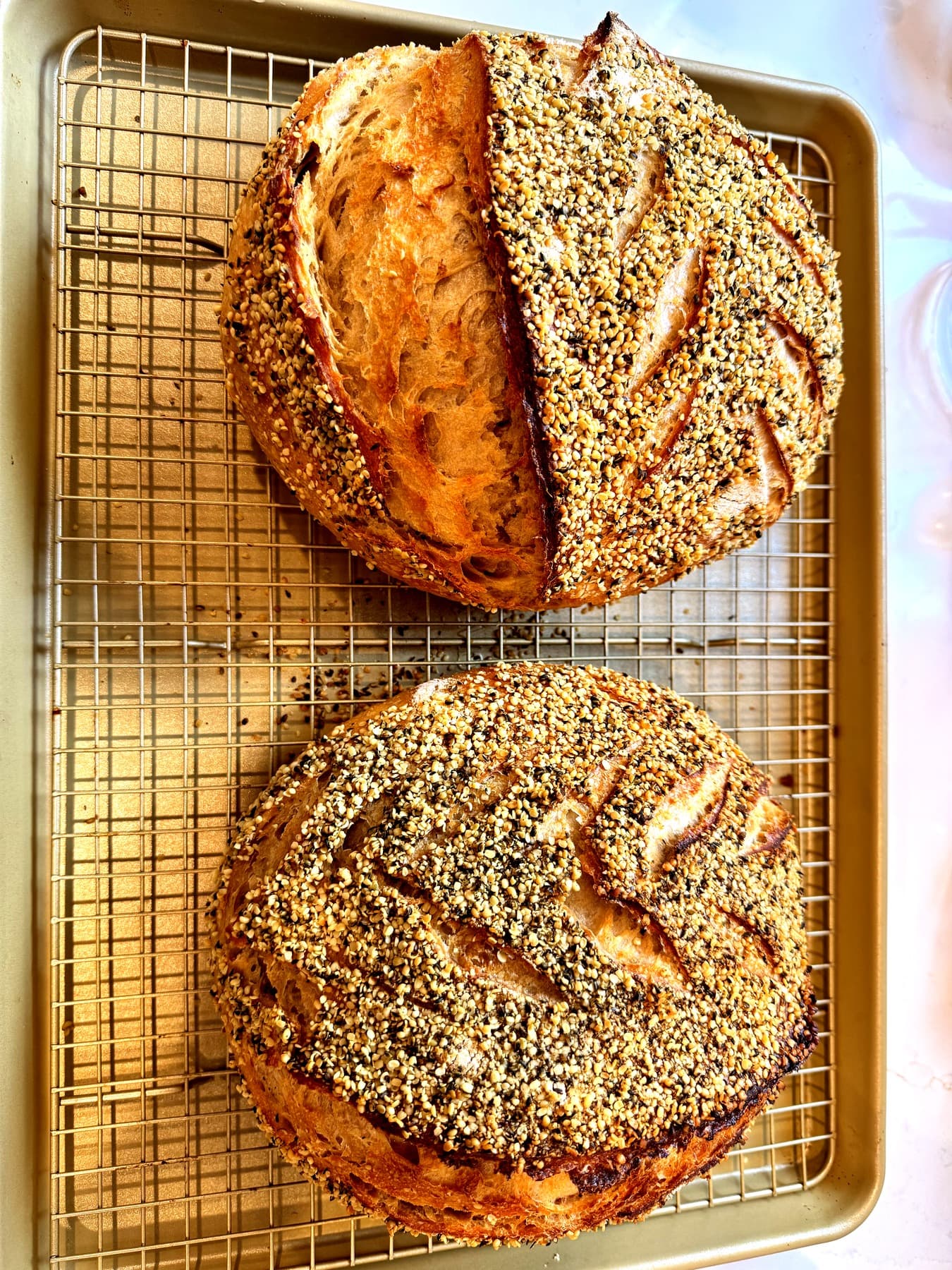 Everything Bagel Sourdough