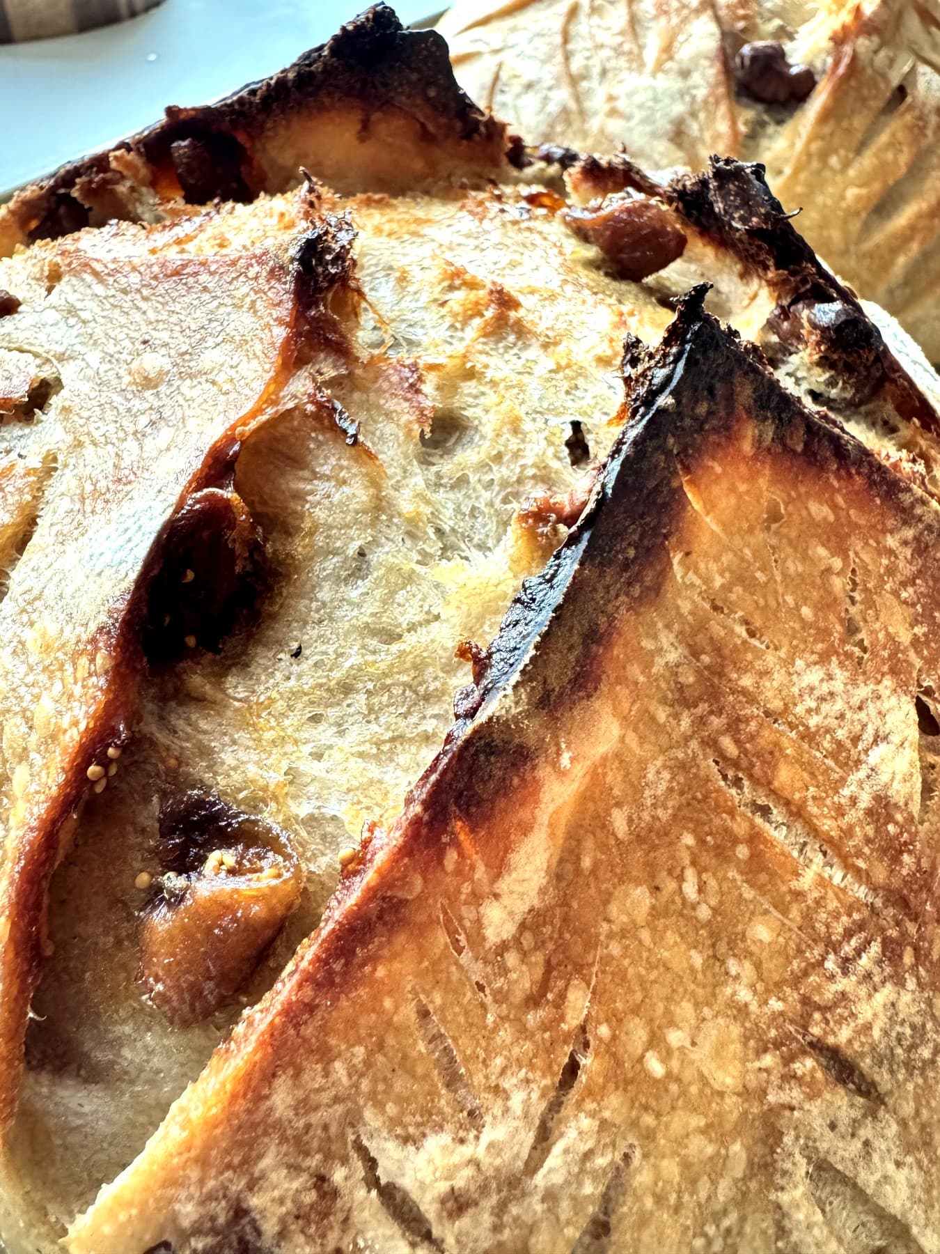 Fig and Walnut Sourdough