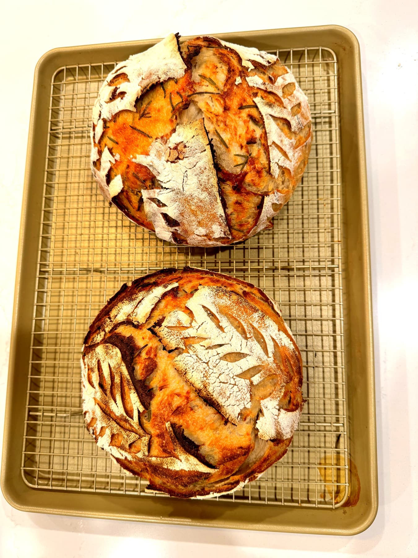 Parmesan rosemary sourdough scored top