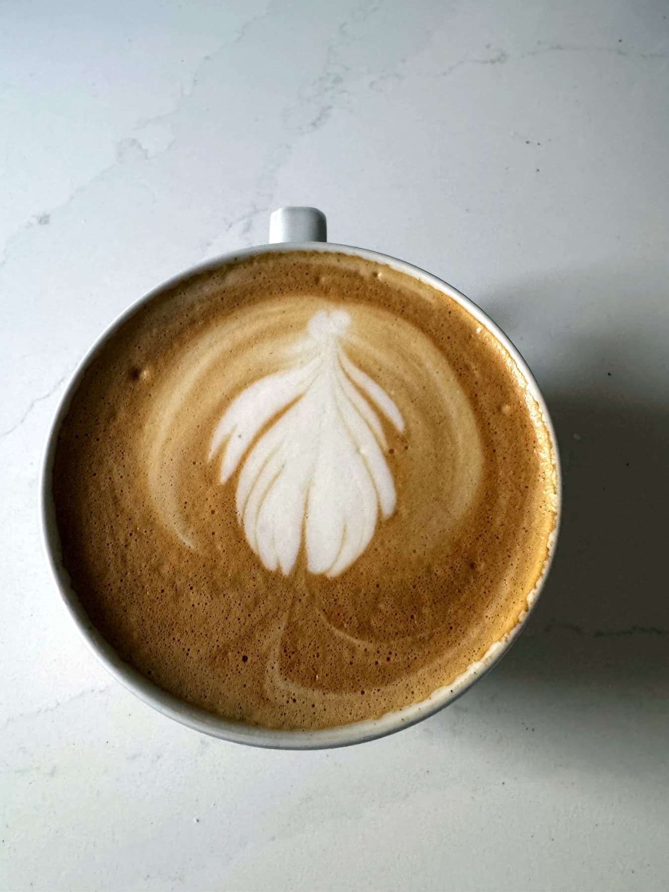 Tulip latte art on marble